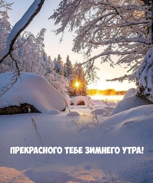 зимнего утра