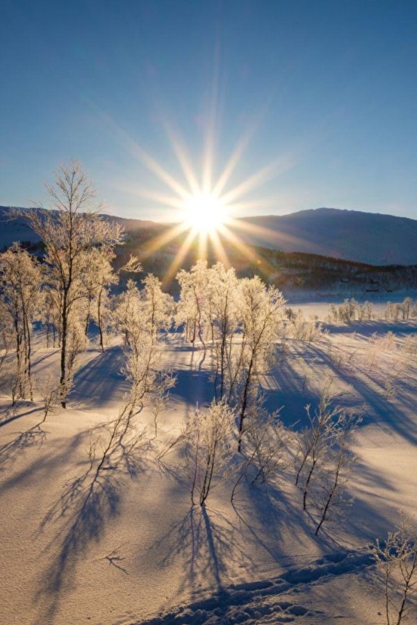 зимний рассвет