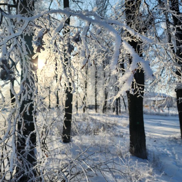 фотографии зимних пейзажей