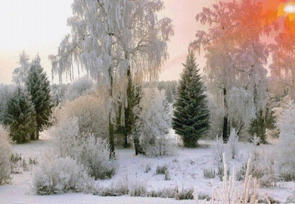 зимняя природа