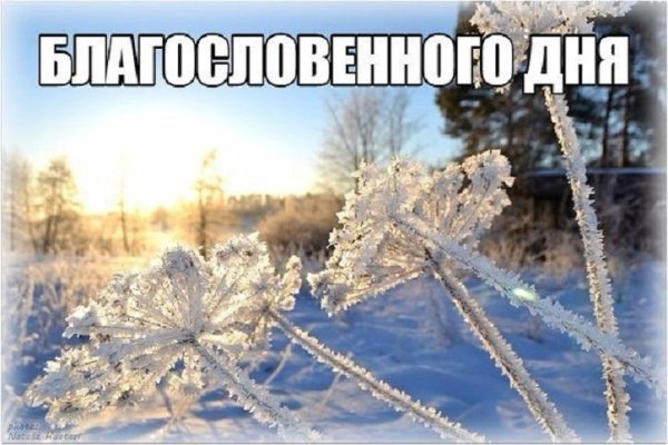 благословенного зимнего дня