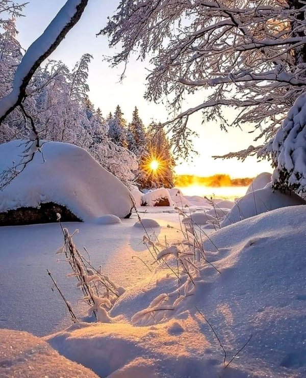 природа зимняя