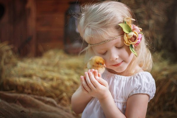 фотосессия с цыплятами