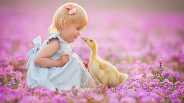 фотопроект с утятами