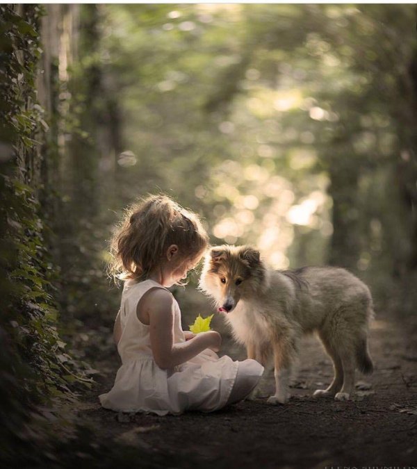 елена шумилова