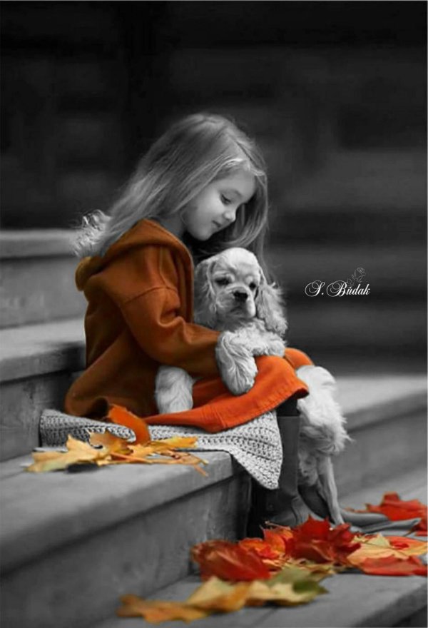 девочка собака