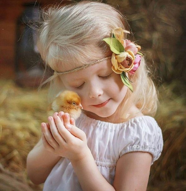фотосессия с цыплятами