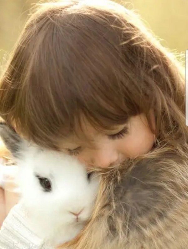 любовь детей и животных