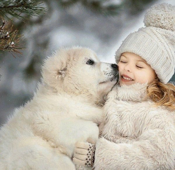 зимняя доброта