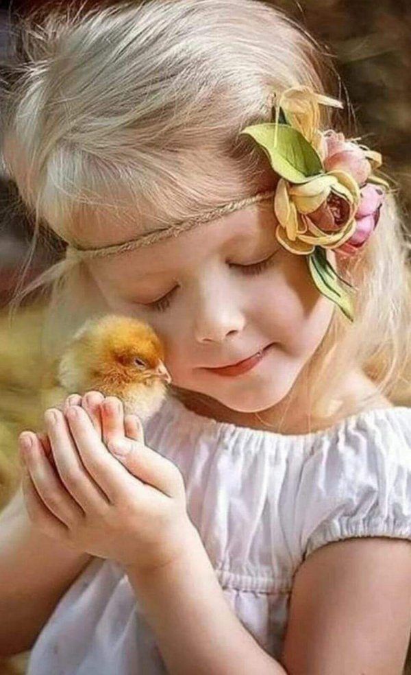 фотосессия с цыплятами