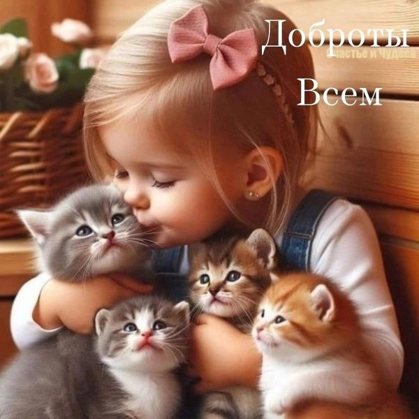 девочка с кошкой