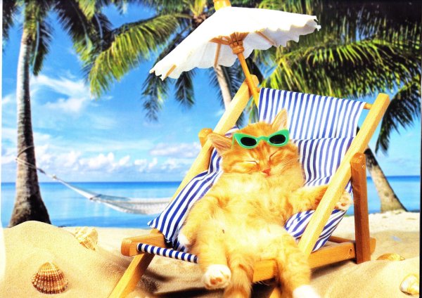 с первым днем отпуска