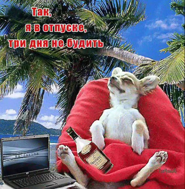 поздравление с первым днем отпуска прикольные