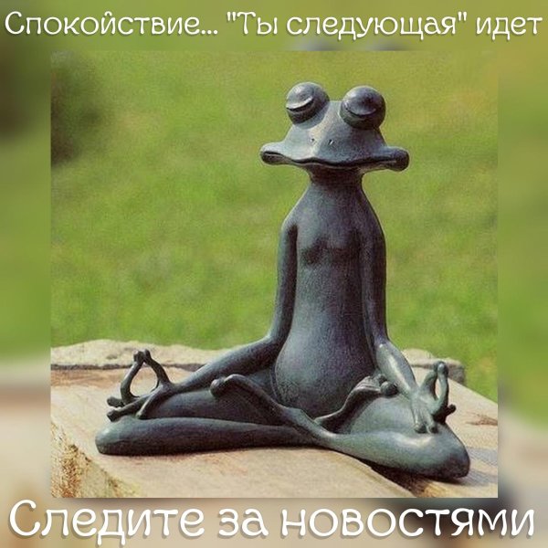 скульптуры медитирующие лягушки