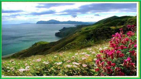 природа юга россии