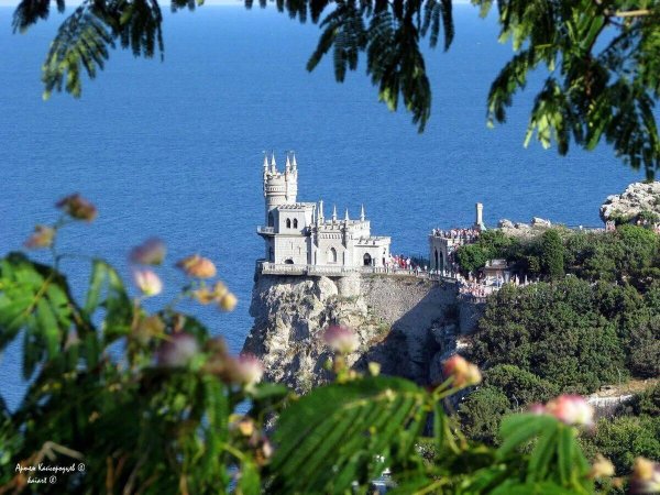 ласточкина гнездо