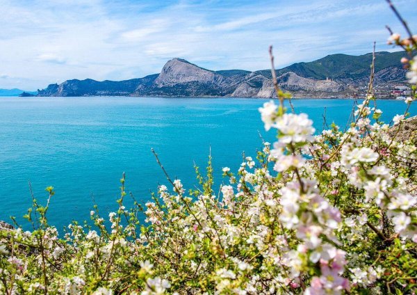 весна в крыму