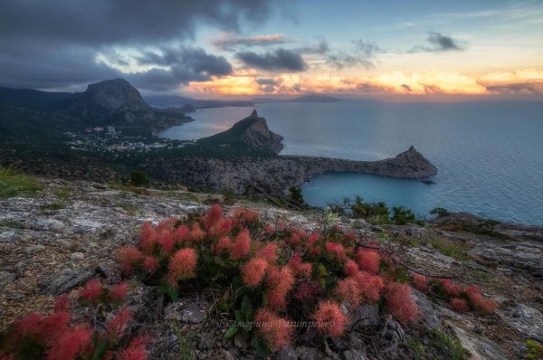 новый свет в крыму