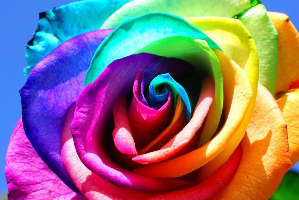 радужные цвета