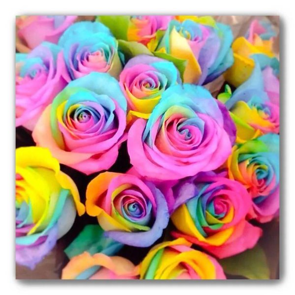 цветок разноцветный