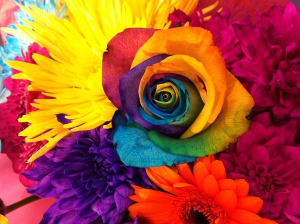 цветок яркий