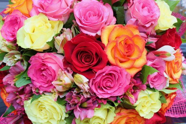 букет разноцветных роз