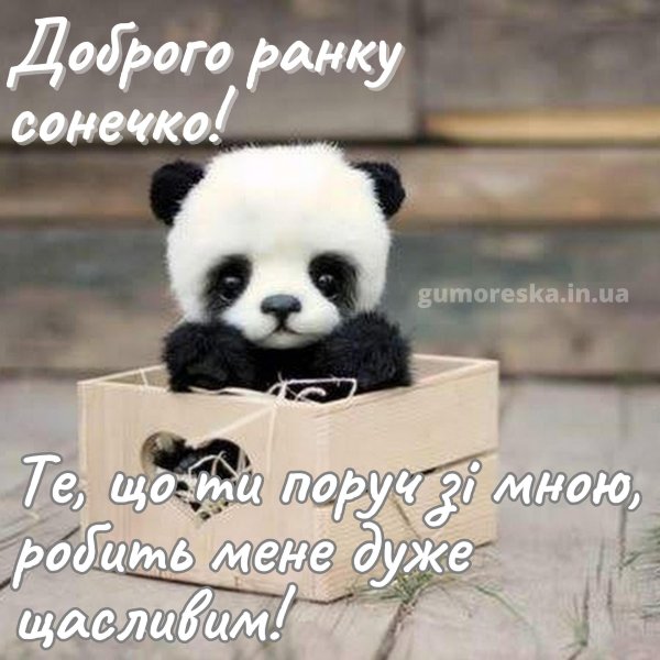 маленькая пандочка