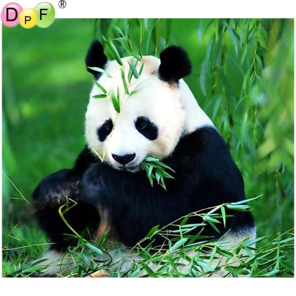 панда бамбук