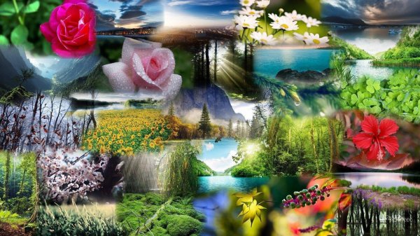 коллаж радости