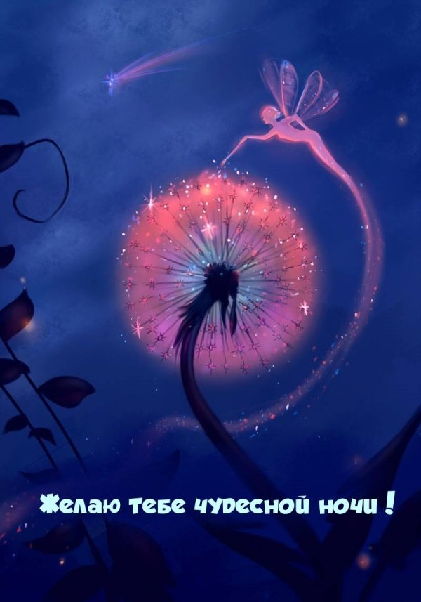 ночь спокойной ночи