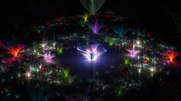 светящиеся цветы