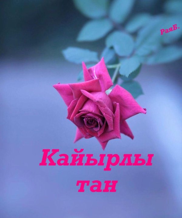 жұма мүбәрәк болсын