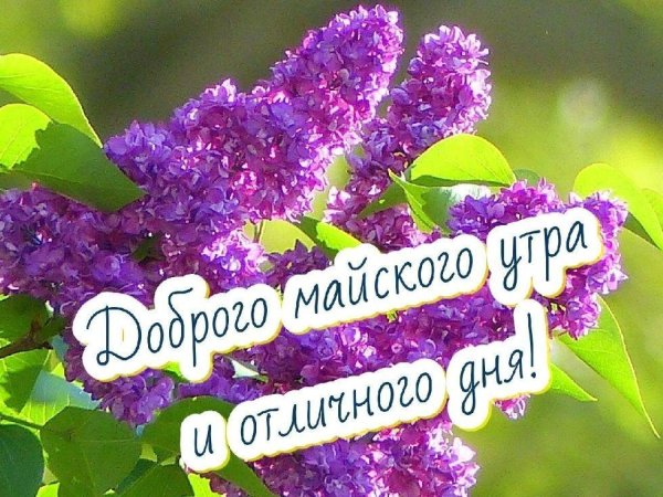 доброго майского утра