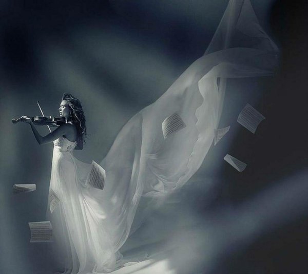 фотосессия со скрипкой