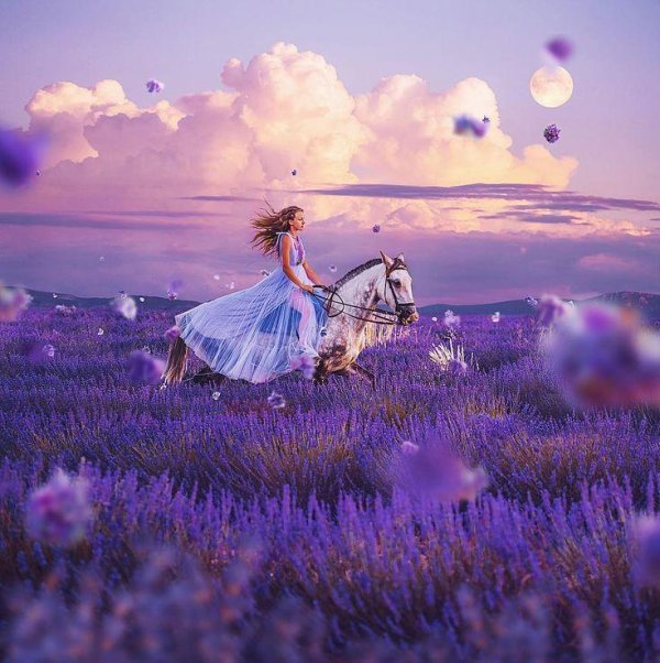 кристина макеева лавандовые поля