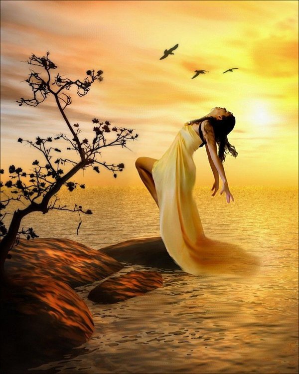 красивые картины