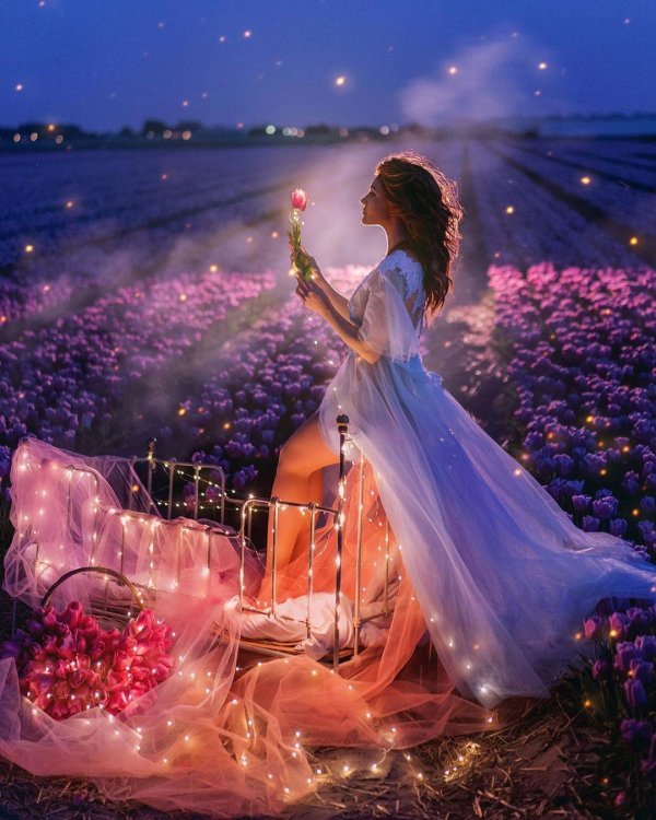 волшебного вечера