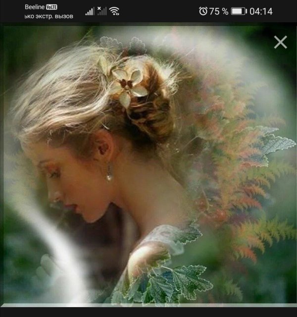 красота женщин