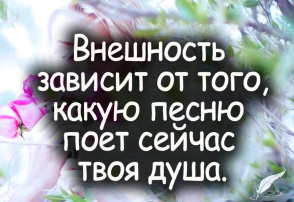 цитаты статусы