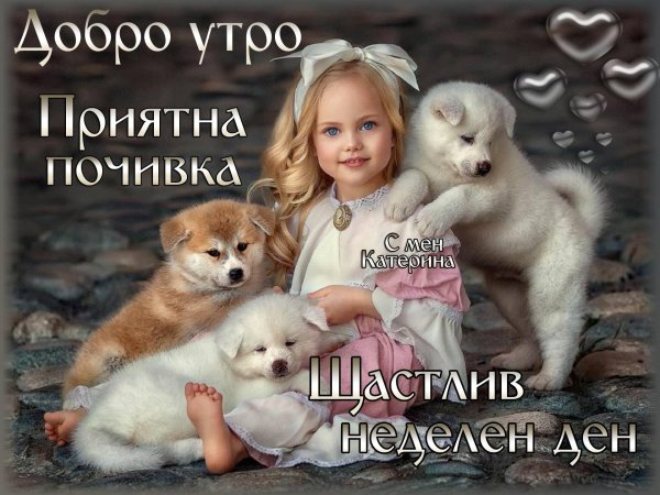 девочка и щенок