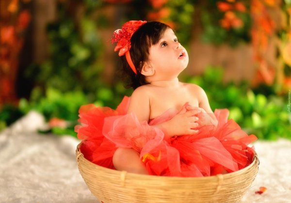 малыши красивые