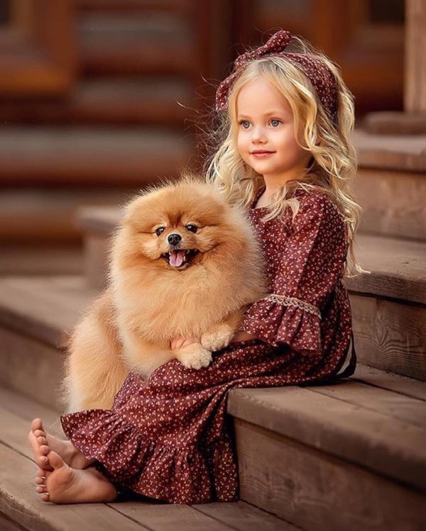 девочка шпиц