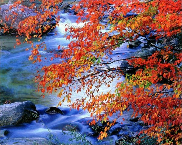 осенние пейзажи