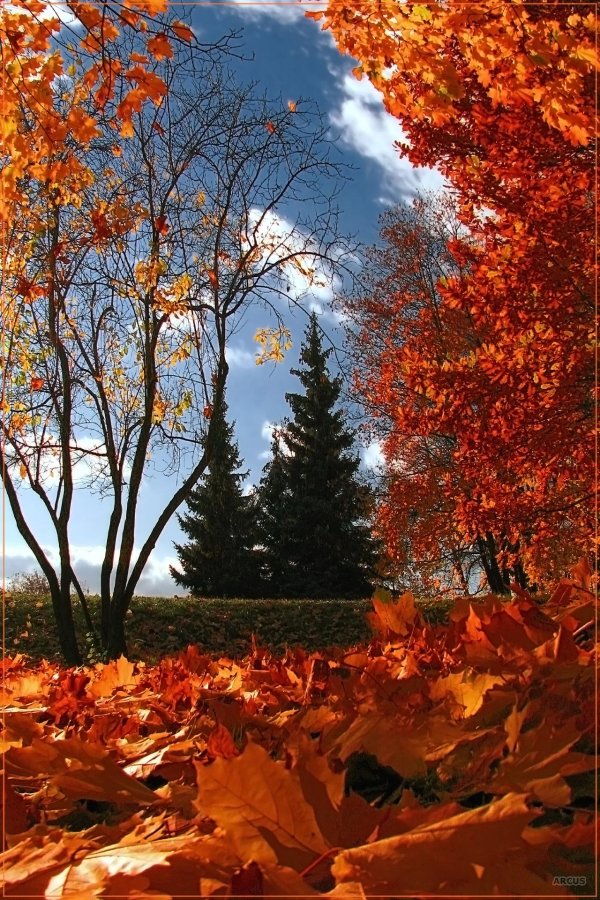 осенние пейзажи