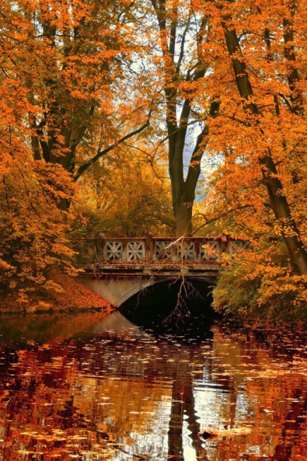 осенние пейзажи