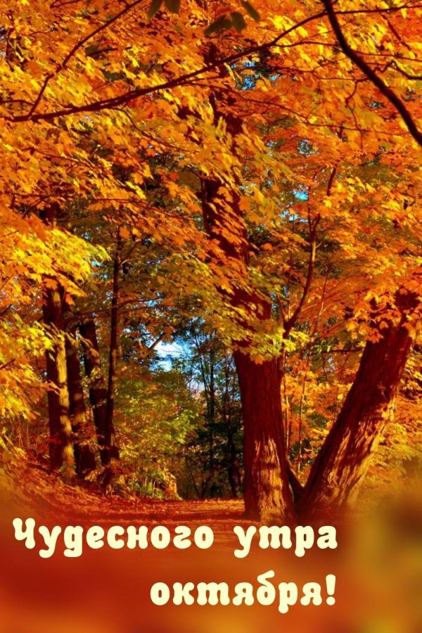 доброе осеннее утро сентября