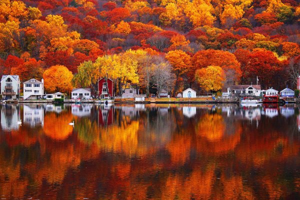 autumn in new england