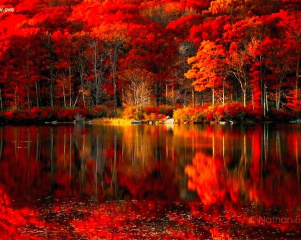 яркий осенний пейзаж