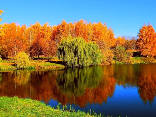 природа осени