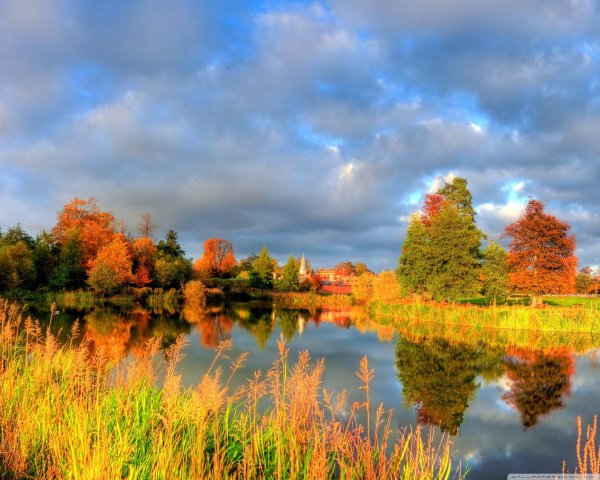 осенние пейзажи